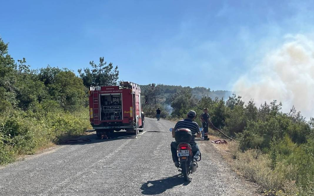 Sakarya'da orman yangını - Resim: 23